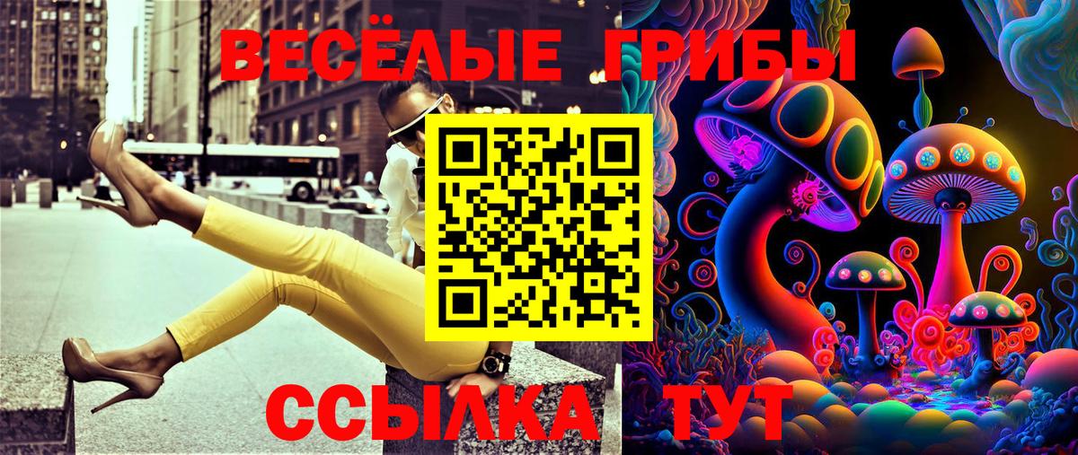 Псилоцибиновые грибы GOLDEN TEACHER  Вход с VPN  Сосновый Бор  Псилоцибиновые грибы Psilocybe 