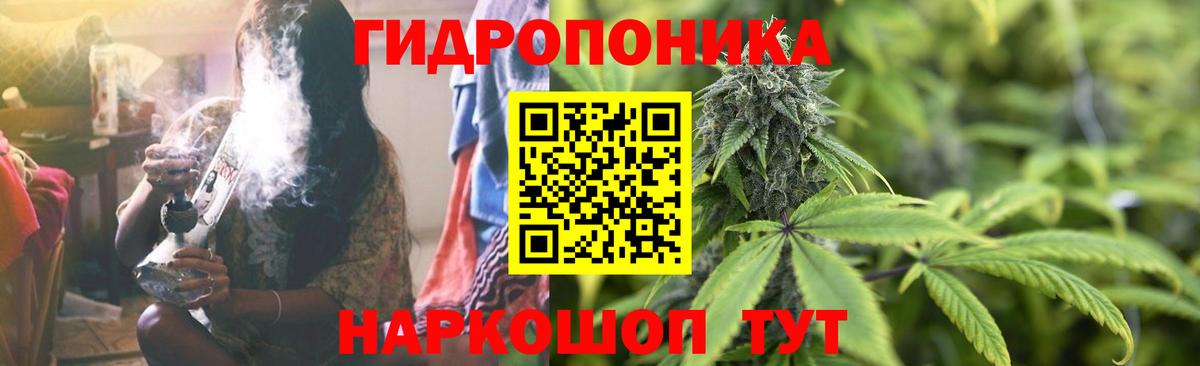 Сосновый Бор  Канабис сатива  Вход с VPN  Канабис тримм  Бошки Шишки марихуана  Канабис планчик 
